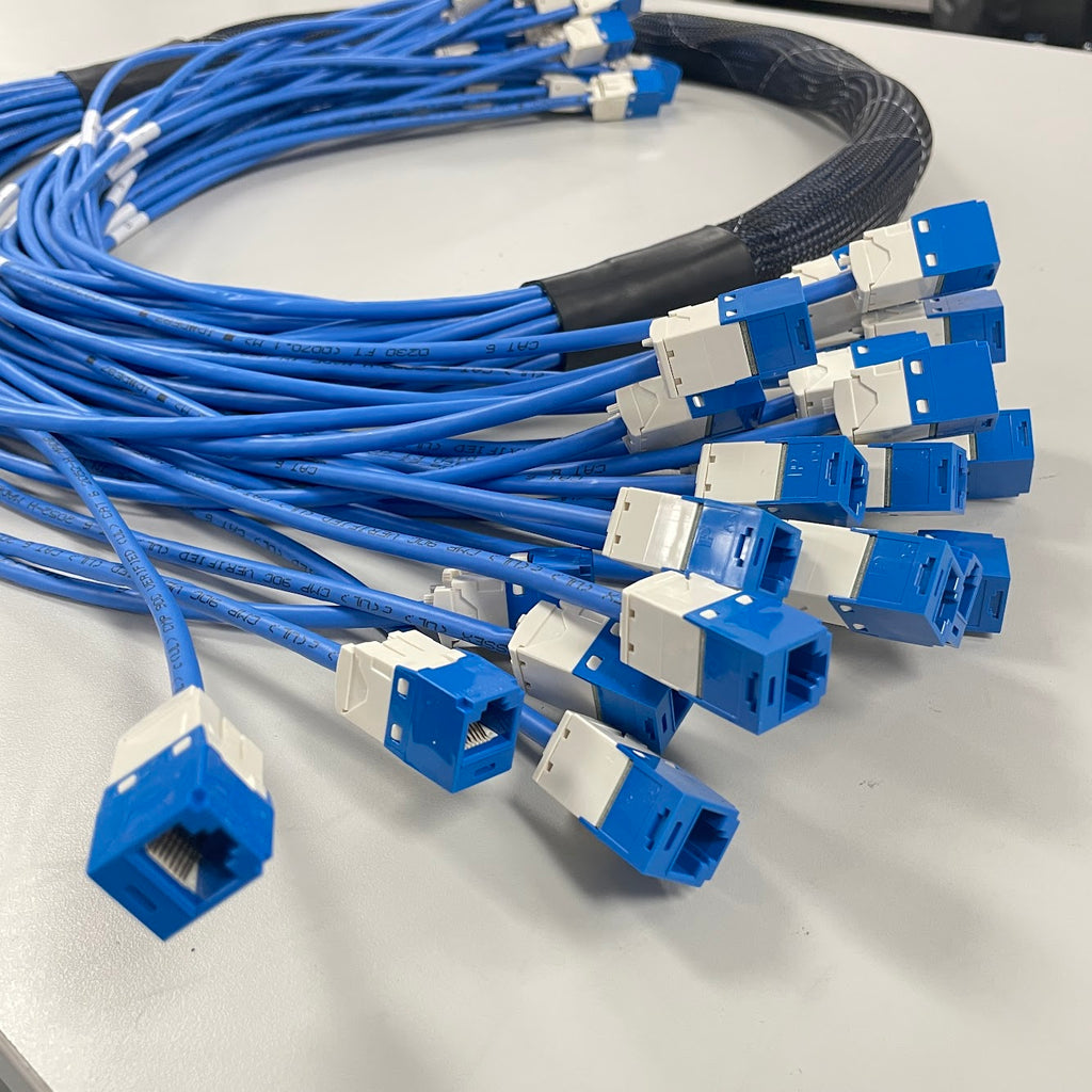 12 Cable CAT6 Plenum UTP Stranded Conductor RJ45 to RJ45 | Jack to Jac ...
