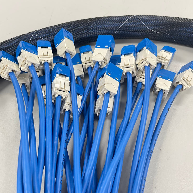 12 Cable CAT6 Plenum UTP Stranded Conductor RJ45 to RJ45 | Jack to Jac ...
