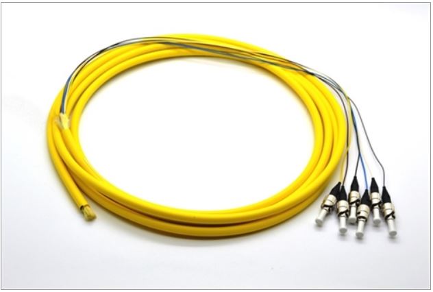 PT6-SM-ST-3M Fiber Optic Pigtail: 6 Strand ST, Single-Mode OS2, 3 Mete ...