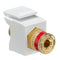 40833-BWR LEVITON Binding Post QuickPort Connector, Red Stripe, White