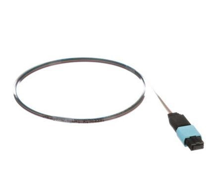 FZTCN5NNNONM001, Panduit Fiber Optic Pigtail: QuickNet, 12 Strand MPO, Multi-Mode OM4, 1 Meter (MOQ: 1; Increment of 1)